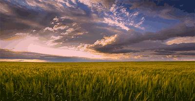 最美拉林公路自驾,高速路上一不小心误入仙境