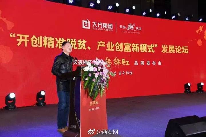 天玺柿子小镇富平柿饼,正宗陕西富平天玺柿饼