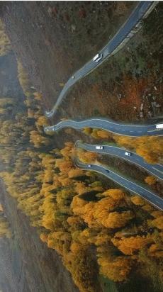 阿勒泰秋季旅行,新疆旅行阿勒泰秋天