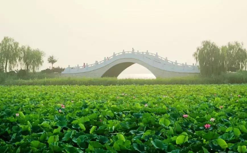 外地人去天津一般去哪里玩攻略,外地人天津春节游玩去处