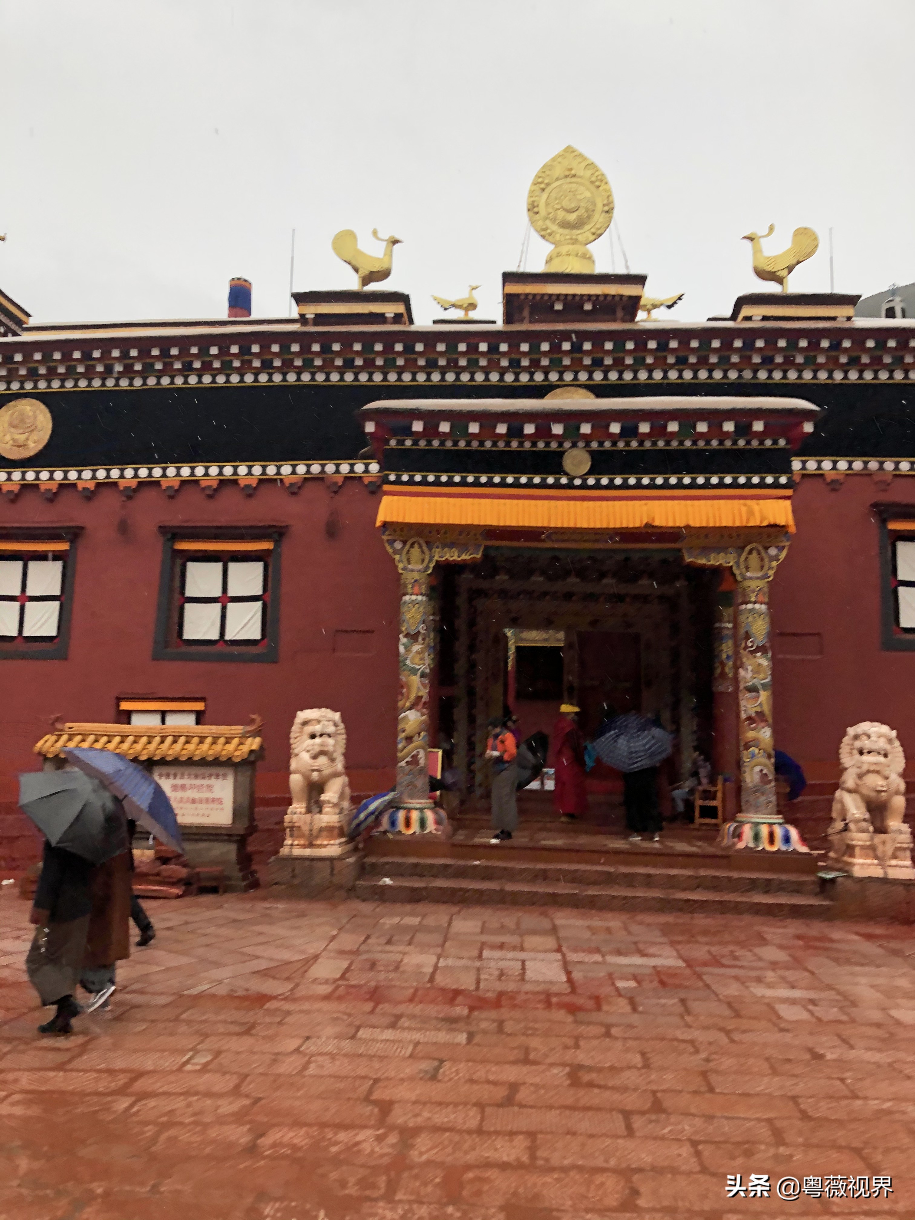 川藏自驾游走国道好还是走高速好 (g317国道川藏北线)