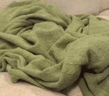 搞笑gif图片惊不惊喜意不意外,搞笑GIF动图