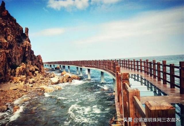 长岛值得去的渔家乐,长岛美丽的海岛