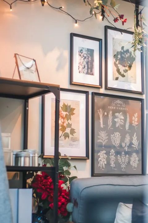 深圳宜家有什么好逛的,深圳宜家旅游攻略