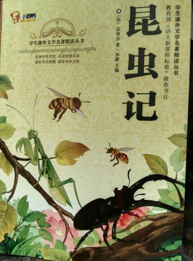 俩孩子，一个从小读名著一个从小看网文，多年后差距太明显