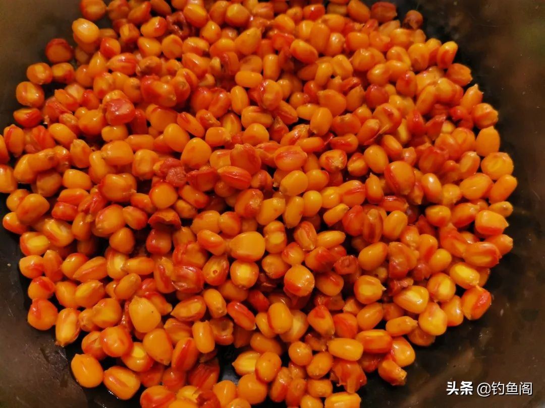 冬天如何打重窝守大鱼,冬天大鱼打重窝好还是不打好