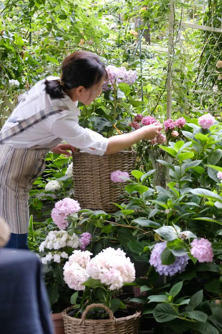 三年前买了套绿地110平三房130万,三年前耗资百万打造小院出售