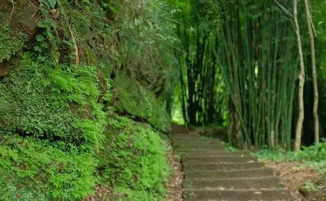 成都五一旅游人少亲子游景点推荐,五一成都旅游去哪儿玩