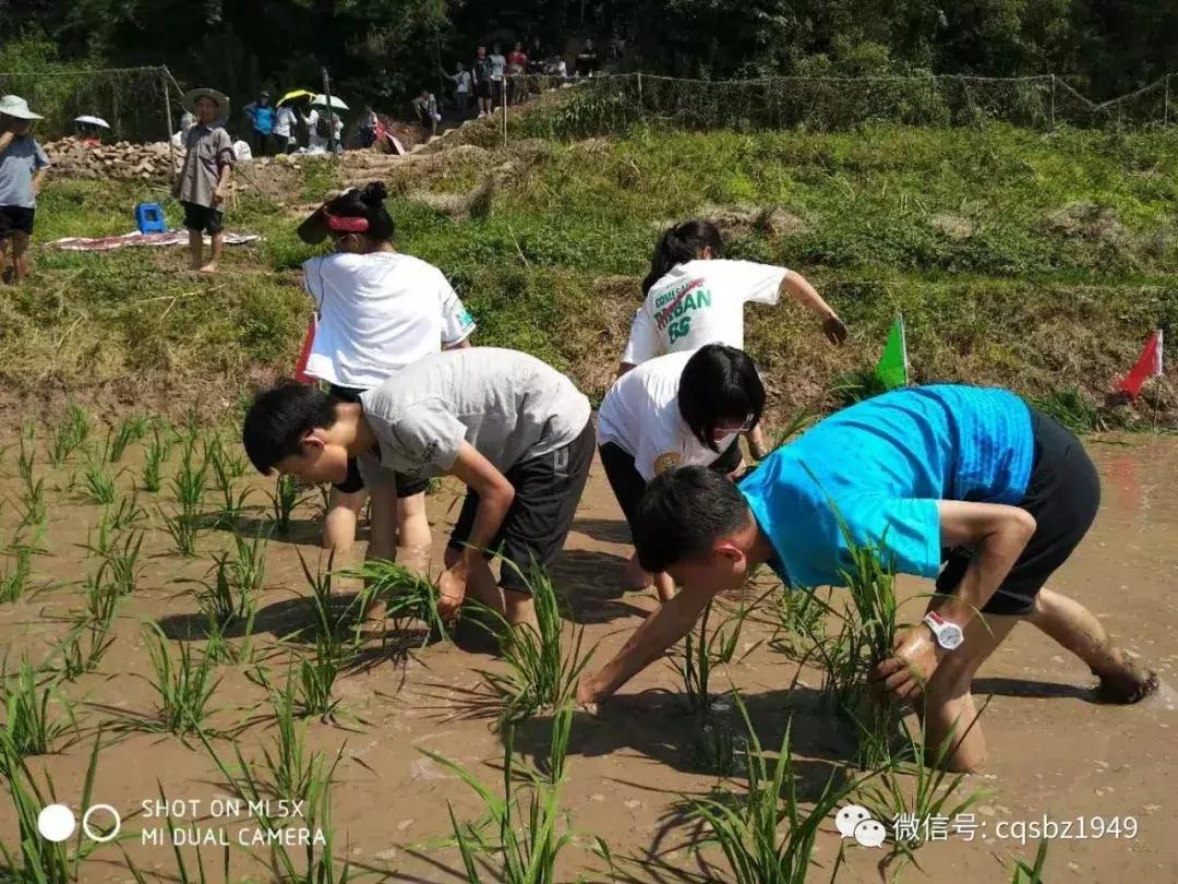 重庆十八中｜区重中的绩优股，名校中的战斗机