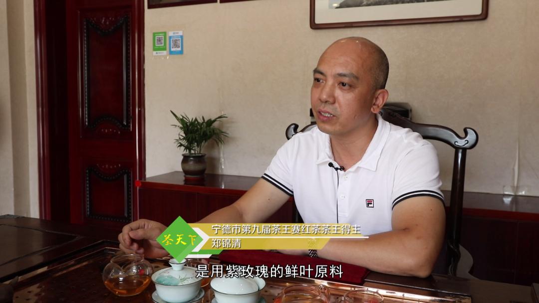 坦洋工夫红茶与普通红茶的区别,岩茶和坦洋工夫红茶的当家品种