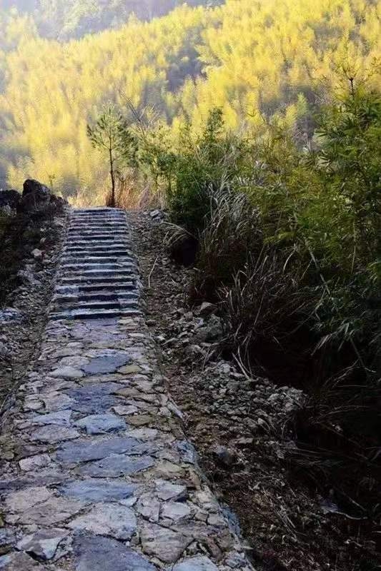 温州5个宝藏古村,温州宝藏打卡地