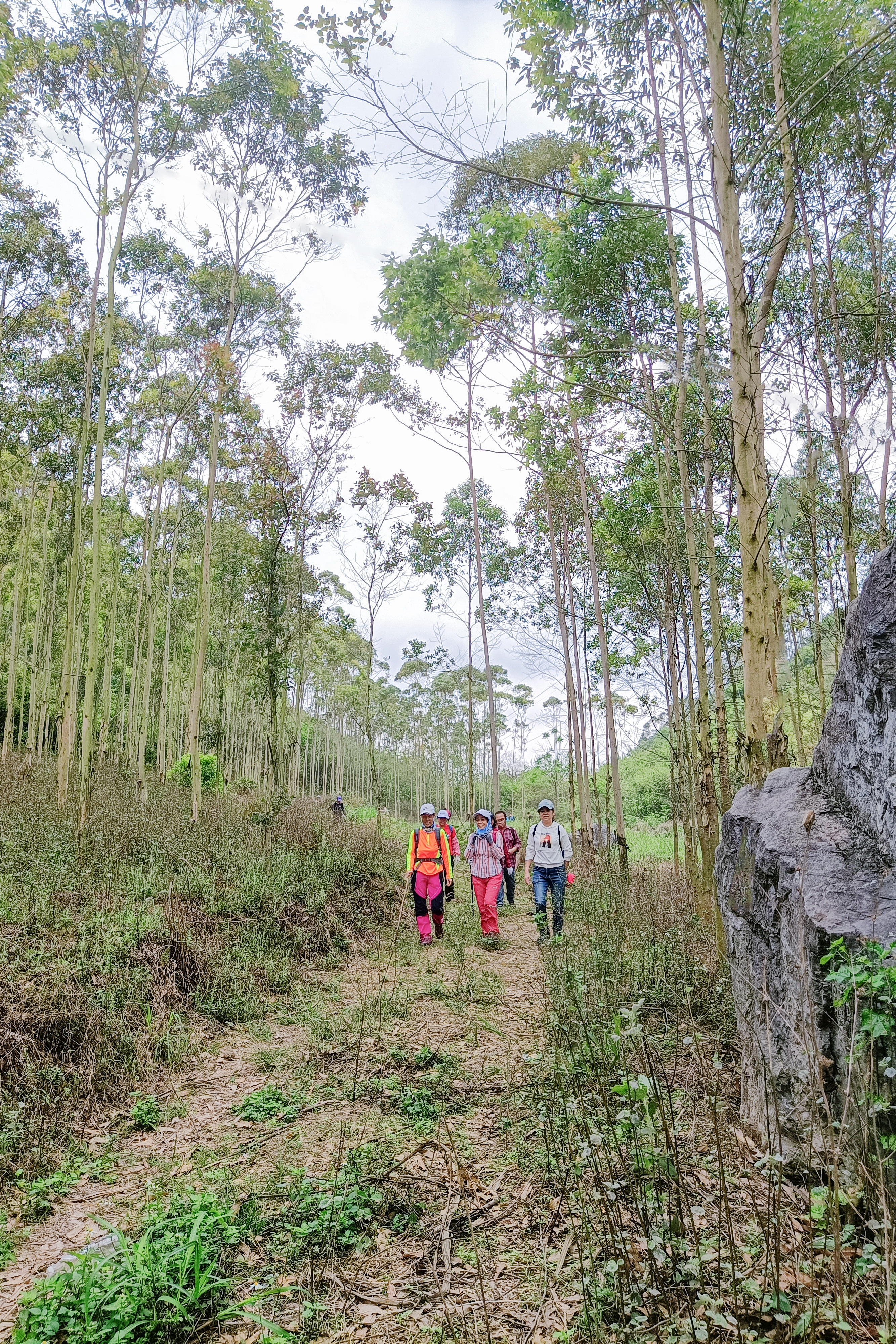 柳州郊外游玩水库,柳州里团水库徒步攻略
