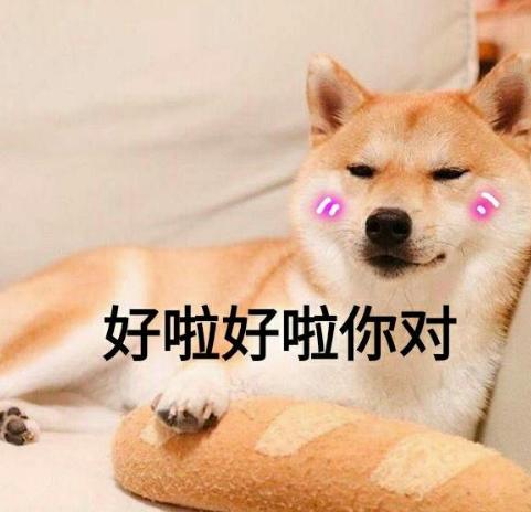 狗狗驱虫要单独驱球虫吗,狗狗驱虫选择合适的驱虫药