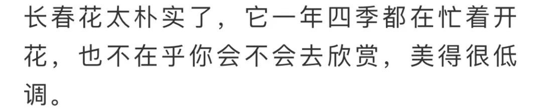 看到花的时候,不知是什么花?那就收下这份百花图谱