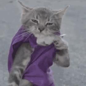 北京大学为什么不叫BeijingUniversity?