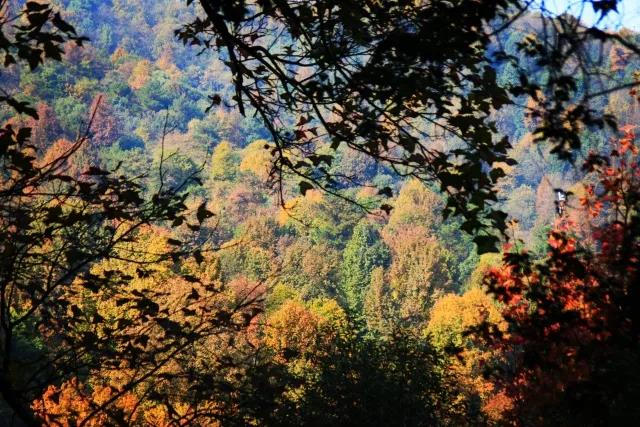 坐拥神仙颜值！原来，这就是中南大学的最美校花！