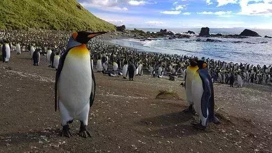 来澳洲才知道的事,来悉尼才知道的事