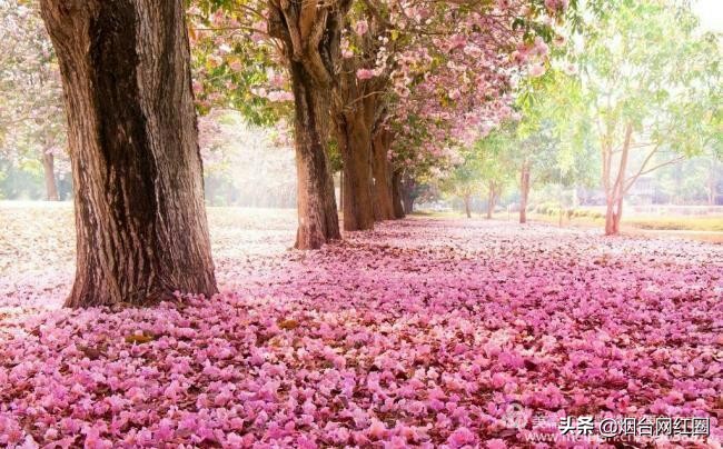 逦迤在乌山脚下，远远地见，邓拓故居院落边上，黛瓦白墙下