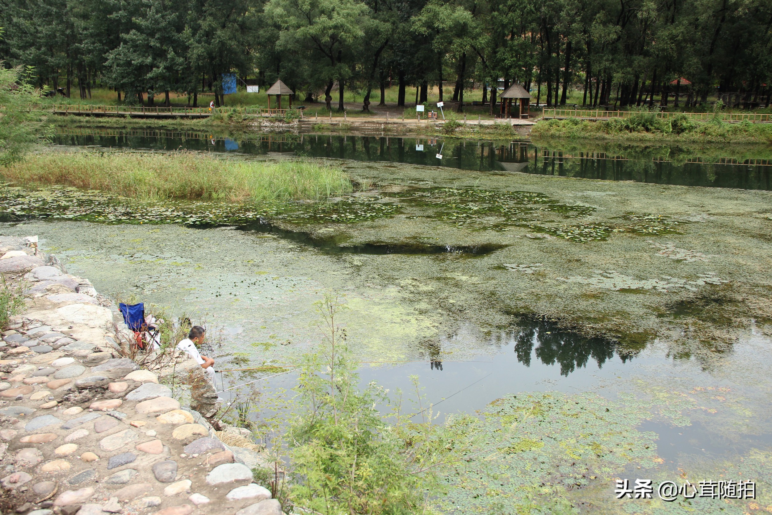 自驾白河湾,白河湾自然风景区自驾