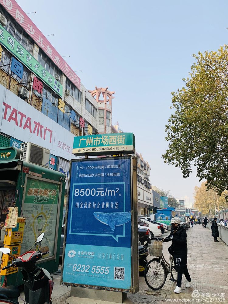 涧西牡丹广场老照片,洛阳牡丹手机拍照