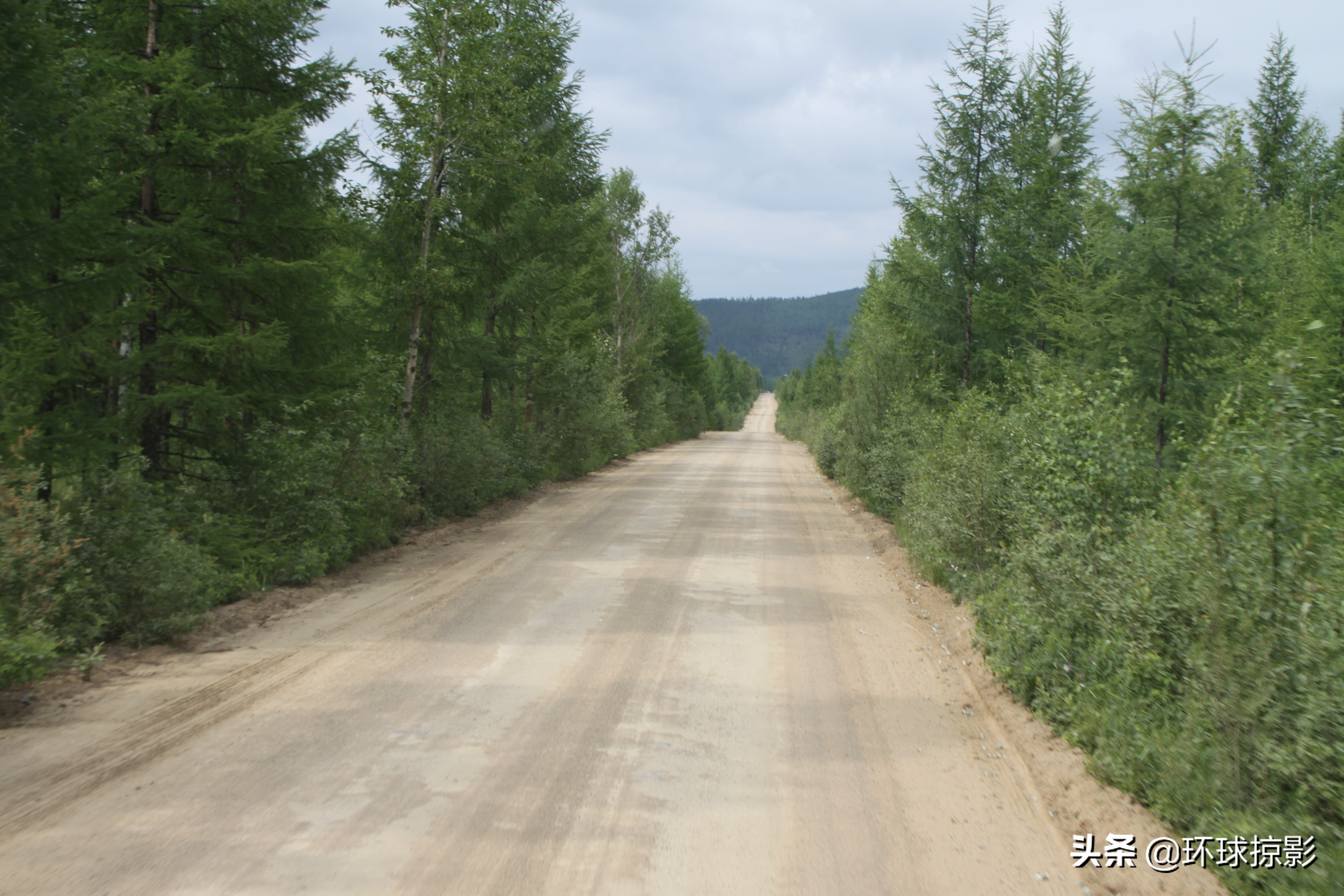 8月份漠河,呼伦贝尔8月中旬