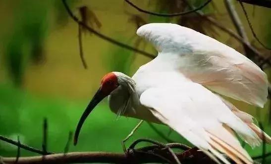 陕西省哪些市发展好,陕西各个县发展排名