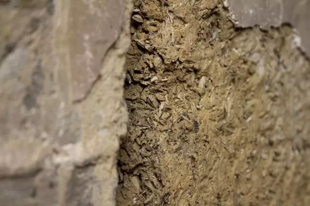 真羡慕那些住酒店的人,真羡慕那些住高档小区的人