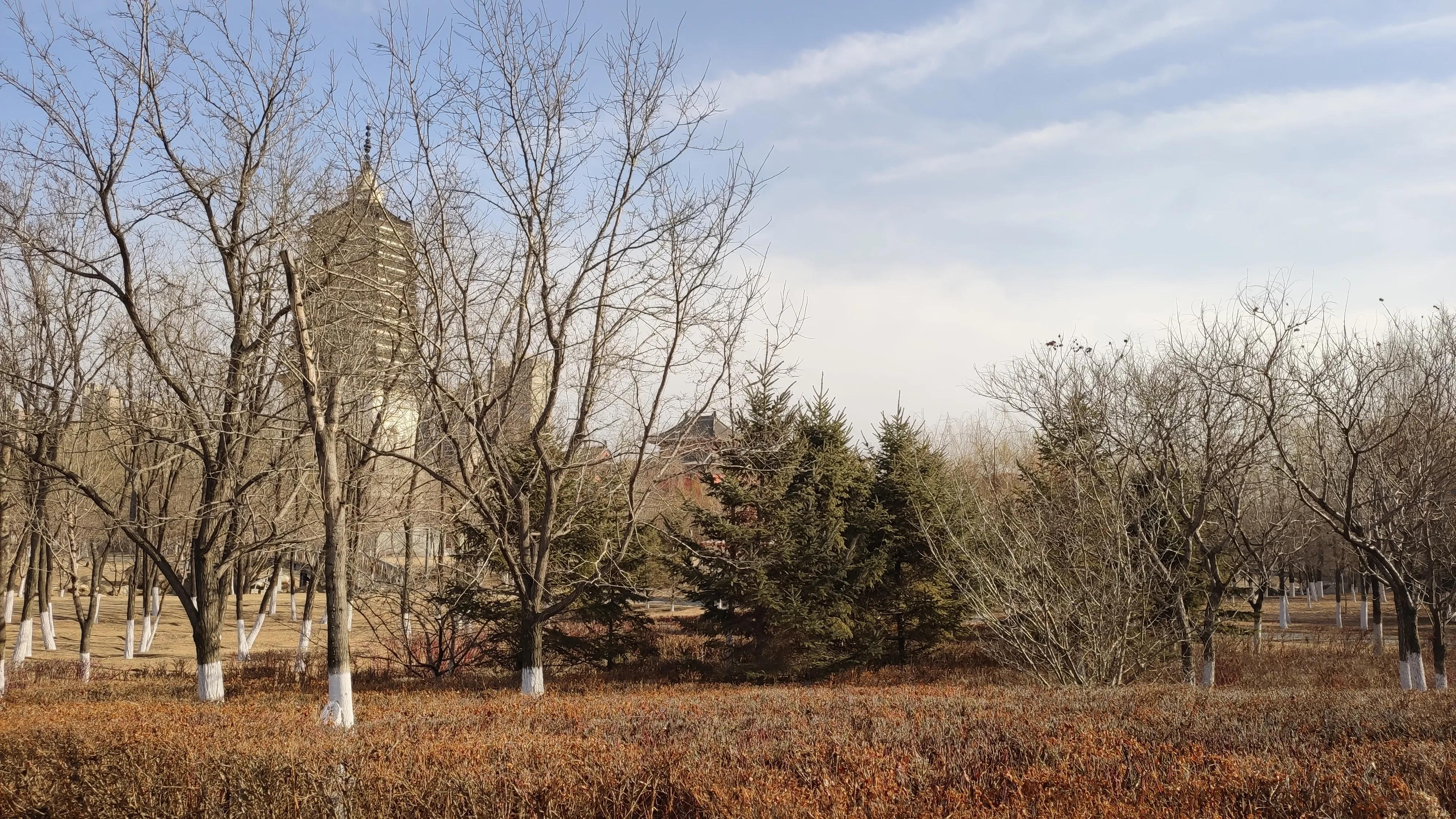 濂冲ぇ瀛︾敓缃戠害杞﹂伃鍥氱,缃戠害杞﹀コ瀛╄鍥氱