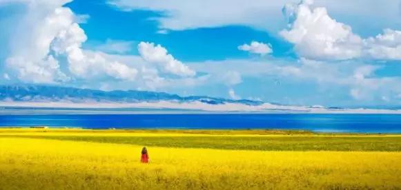 健康咒语每天三遍身体越来越好,疗愈身体的神奇音乐完整版