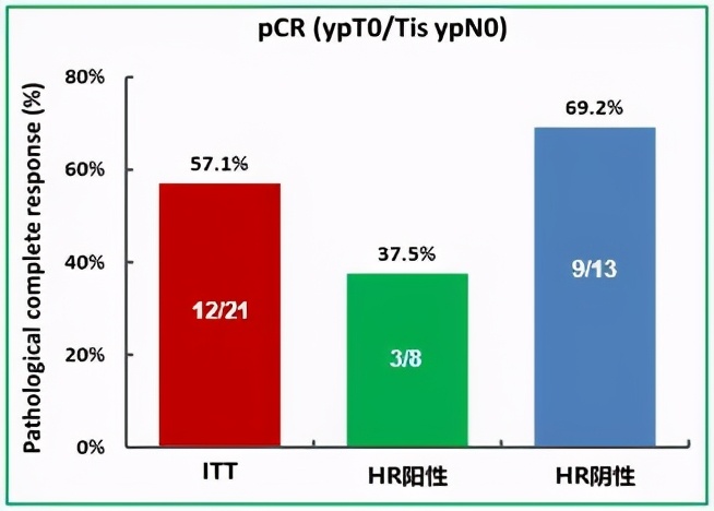 her2阳性晚期乳腺癌双靶治疗效果,her2阳性乳腺癌的免疫治疗前景