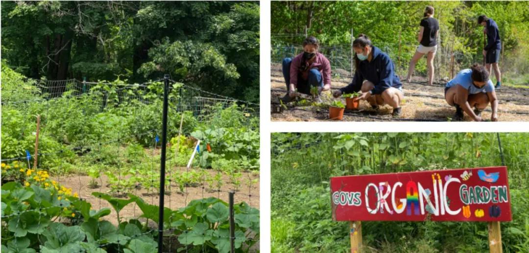 美国高中所有课,美国高中日常