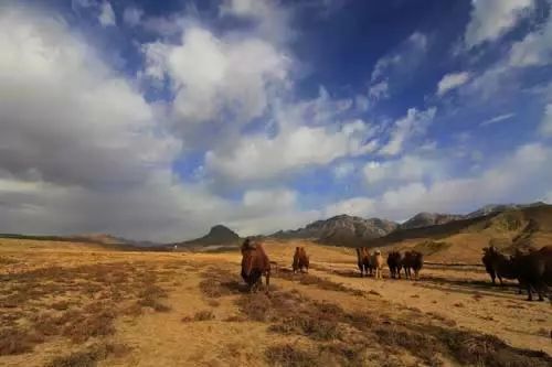 80岁前一定要去的中国的100个地方！你去过几个了？