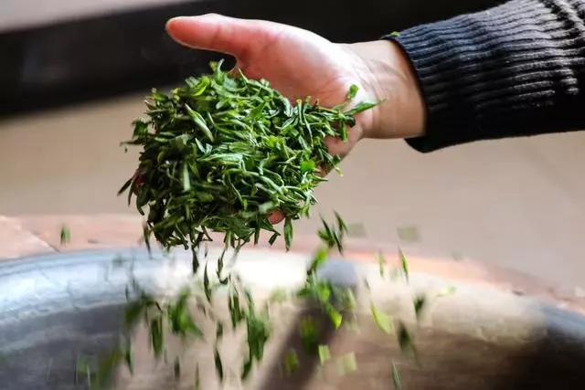 疫情过后一起来踏青吧,疫情过后一起去山花浪漫处