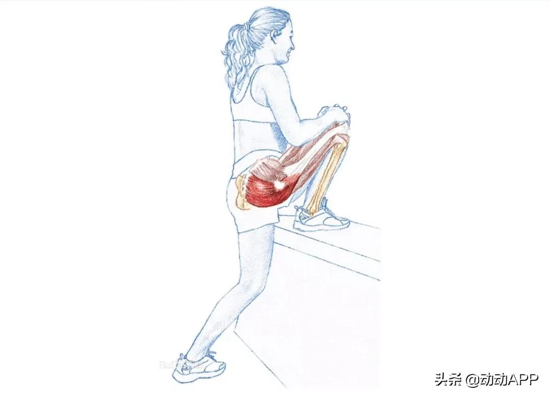 瘦假胯臀最快的方法,妈妈臀假胯宽臀部凹陷先练哪里