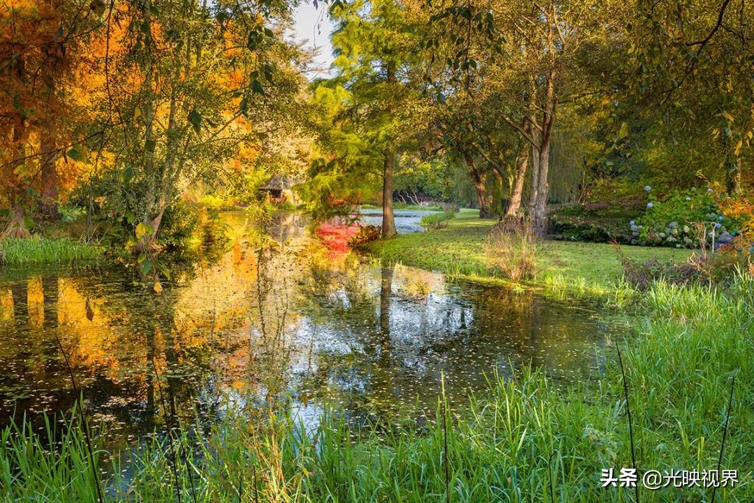 世界级国际花园摄影大赛,中国最美花园摄影作品