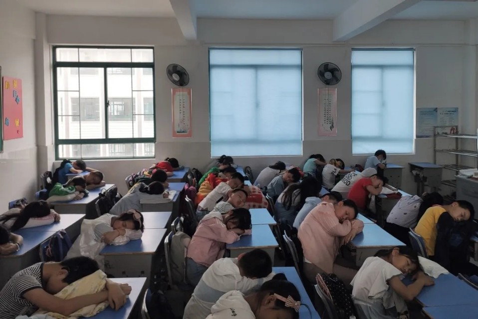 知行计划怎么联系小学,知行计划流程