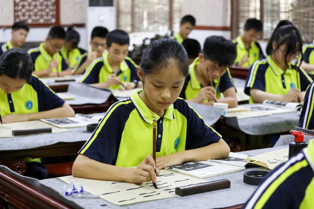花儿朵朵向阳开幼儿园,花儿朵朵向阳开幼儿律动完整版