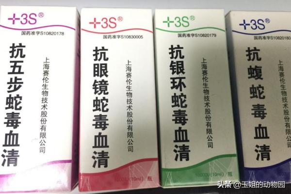 眼镜王蛇毒死大象,眼镜王蛇能毒死成年人吗