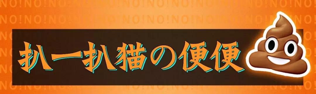 猫屎太臭事件,猫屎的来历