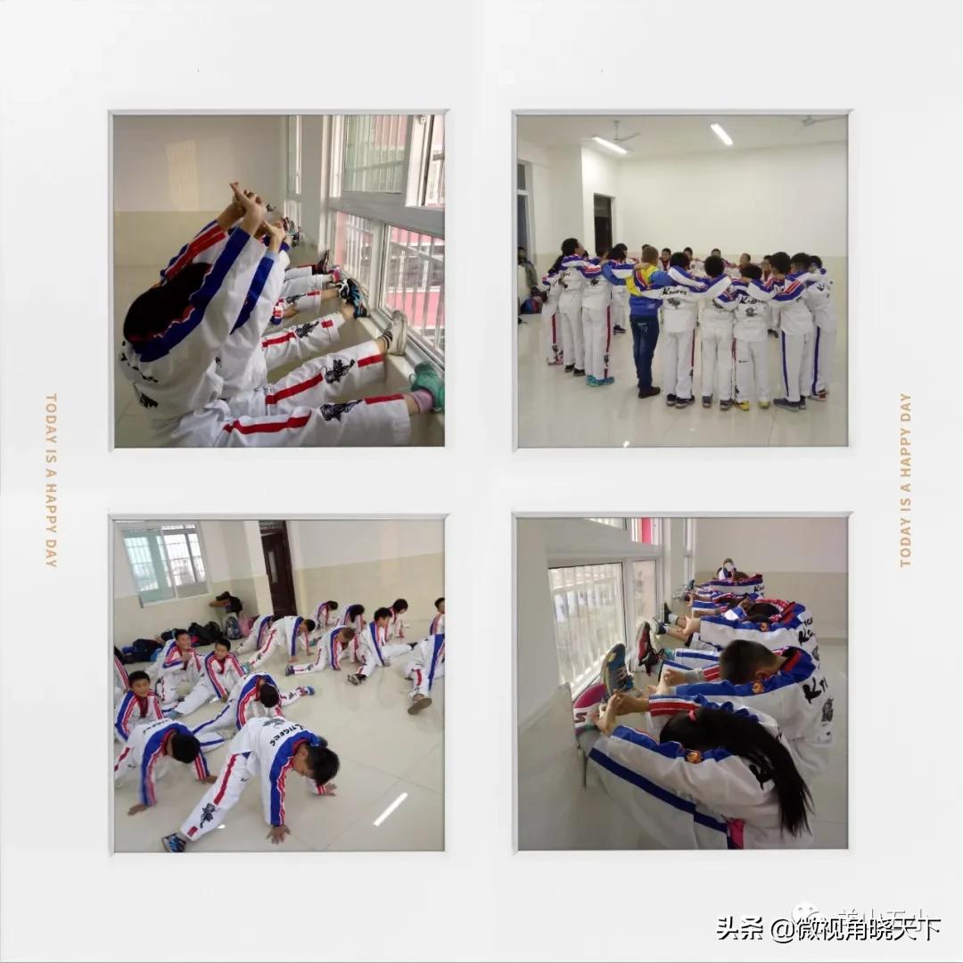 信阳铭扬跆拳道,信阳铭扬武道馆