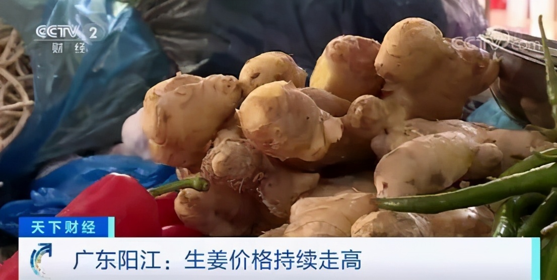 生姜价格为什么又暴涨,生姜价格已达近5年最高点