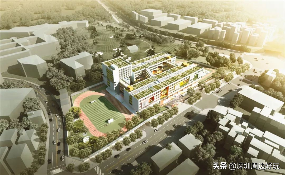 住在深圳各区的人,住在深圳市的人