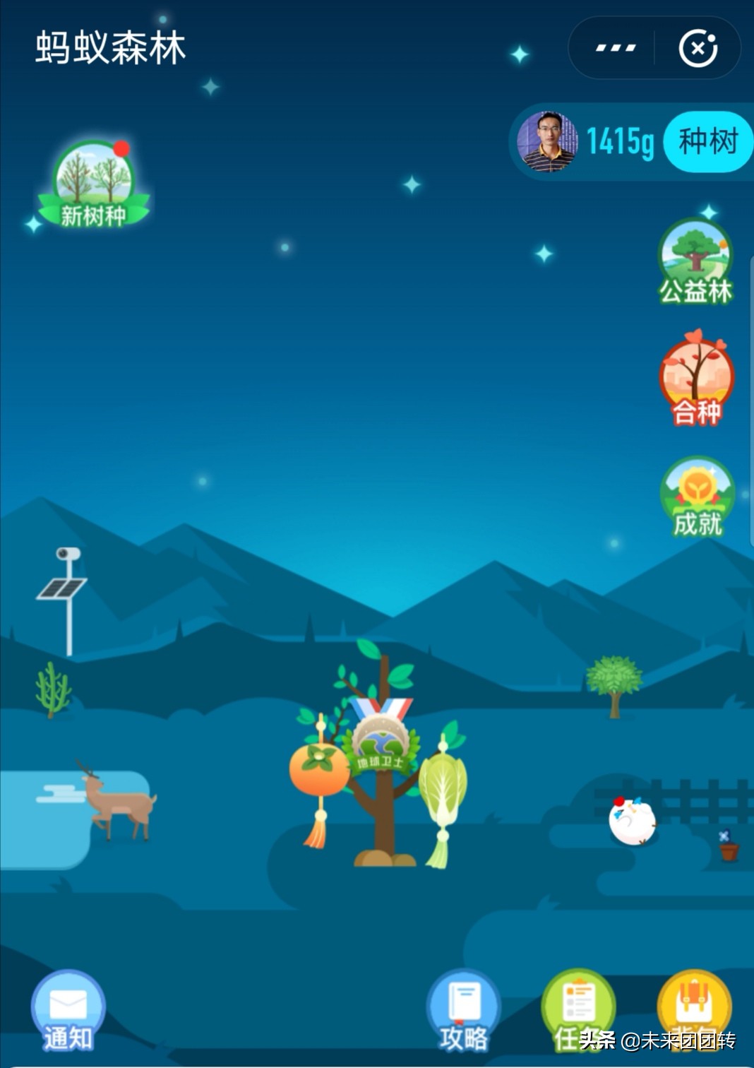 支付宝蚂蚁森林爱情树怎么查看,支付宝蚂蚁森林哪个是爱情树