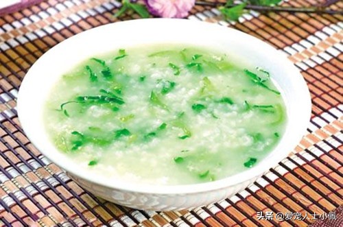 狗狗急性肠胃炎养狗攻略,成年狗狗肠胃炎自己怎么治疗