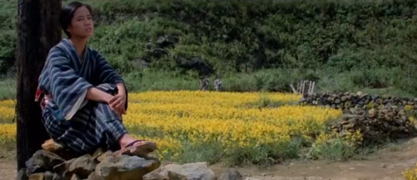 苦难的台湾历史剧本,台湾催人泪下的纪录片