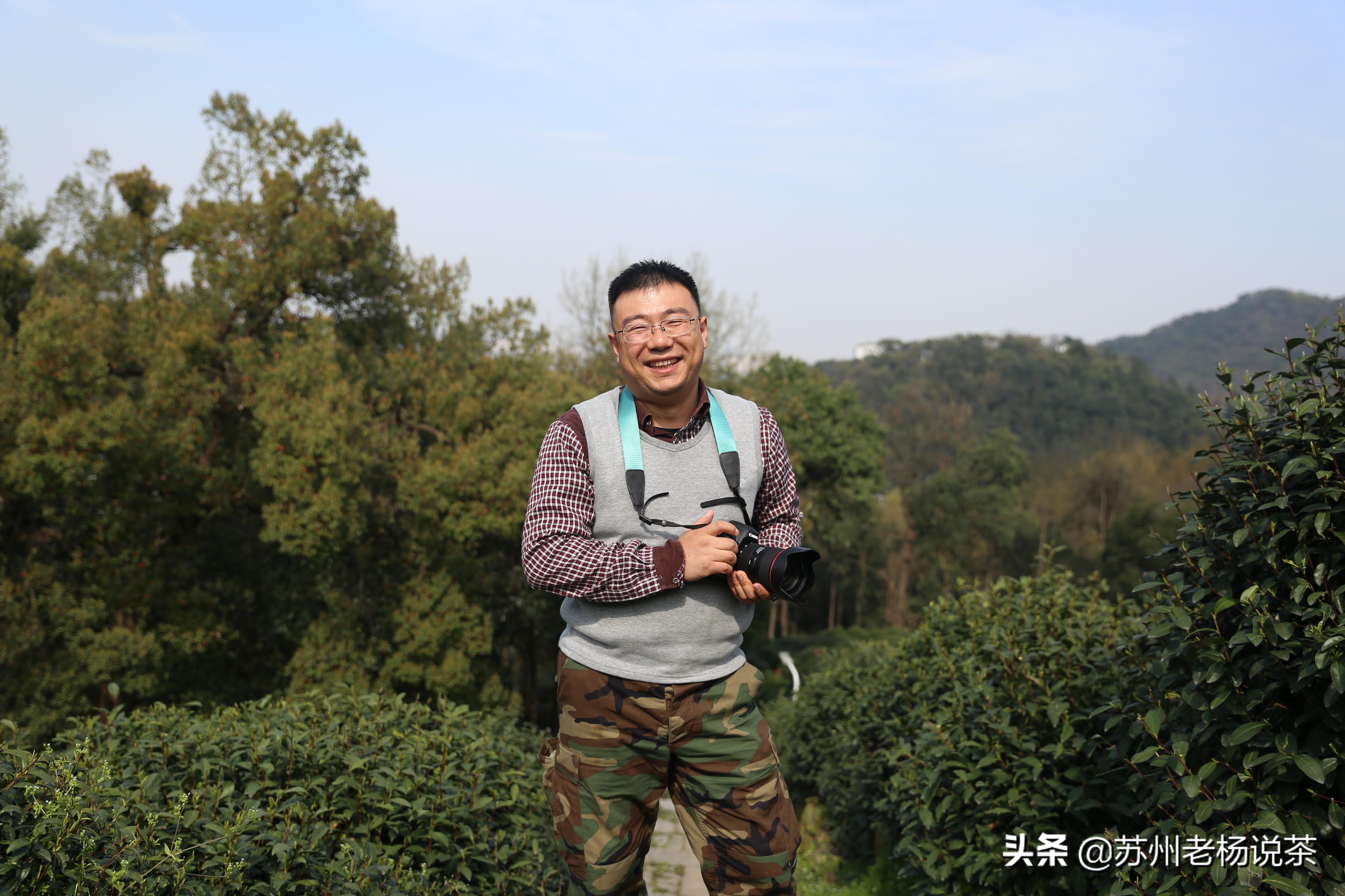 老杨说普洱茶视频全集,老杨说茶第九十六期