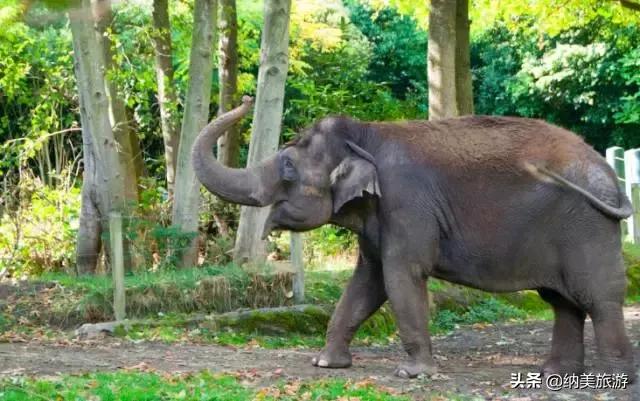 相约旅游景点大全,相约西双版纳旅游攻略