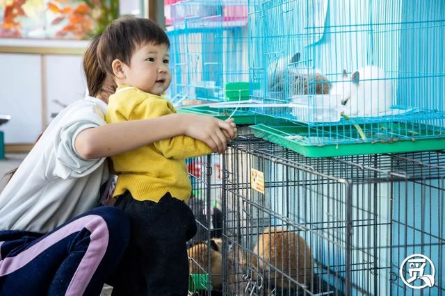 深圳花店有什么花,深圳龙华花店订花送花