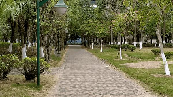 红米note7详细测评,红米Note7图文评测