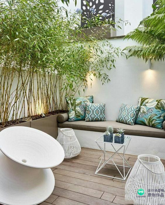 院子适合种的花和设计,庭院设计植物大全